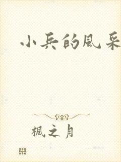小兵的风采封面