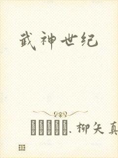 武神世纪封面