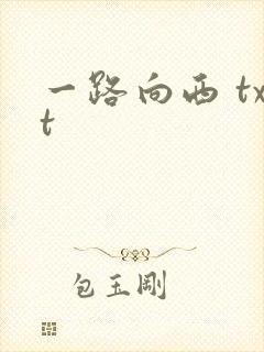 一路向西 txt封面