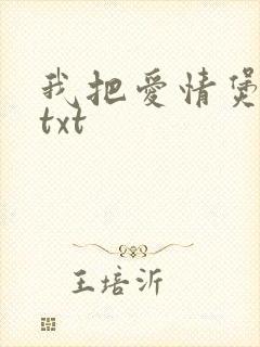 我把爱情煲成汤txt
