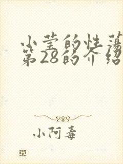 小莹的性荡生活第28的介绍封面