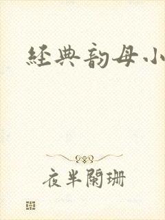 经典韵母小说