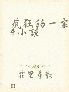 疯狂的一家ps4小说
