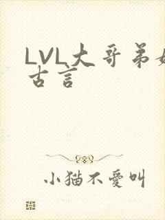 LVL大哥弟媳古言
