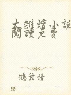 大杂烩小说全集阅读免费封面