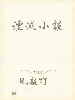 湮灭小说