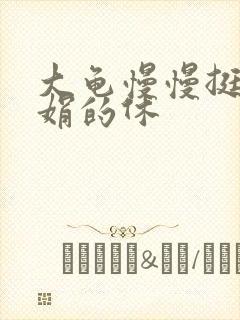 大龟慢慢挺进张娟的休