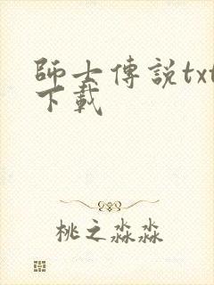 师士传说txt下载