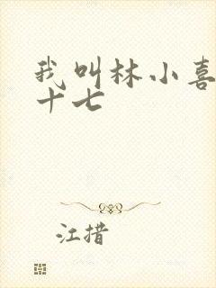 我叫林小喜今年十七