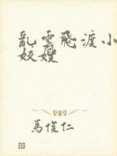 乱云飞渡小说之姣嫂