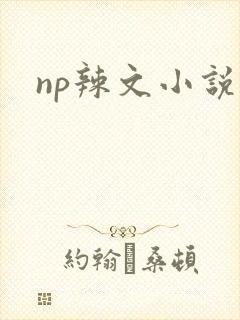 np辣文小说封面