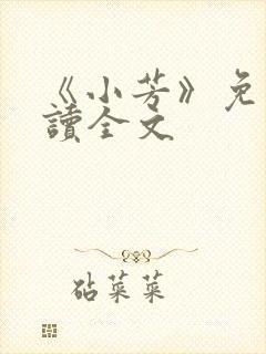 《小芳》免费阅读全文