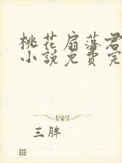 桃花扇落君不还小说免费完整版