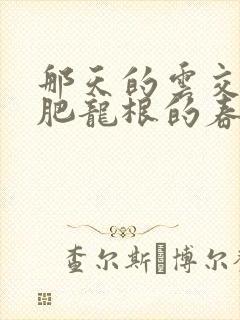 那天的云交雨合肥龙根的春天