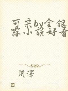 可宋by金银花露小说好看吗