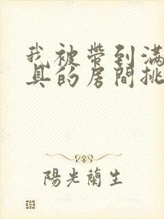 我被带到满是玩具的房间挑调作文