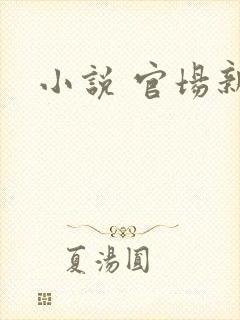 小说 官场新贵封面