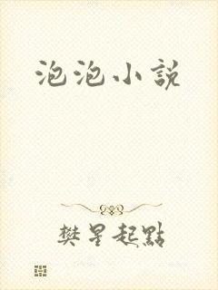 泡泡小说