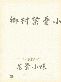 乡村禁爱小说