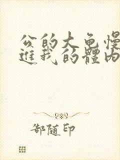公的大龟慢慢挺进我的体内视频封面