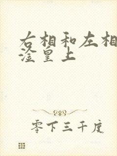 右相和左相一起淦皇上