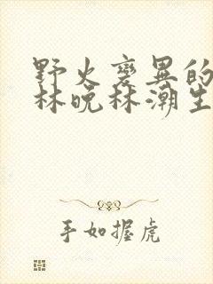 野火变异的父爱林晚林潮生