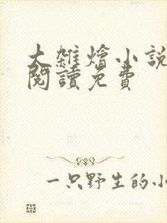 大杂烩小说全集阅读免费封面
