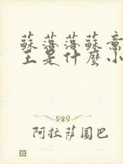 苏落落苏意瑶睿王是什么小说封面