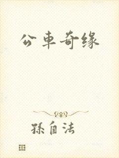 公车奇缘