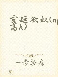 宫廷欲奴(np高h)