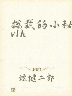 总裁的小秘书1v1h