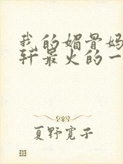 我的媚骨妈妈林轩最火的一句