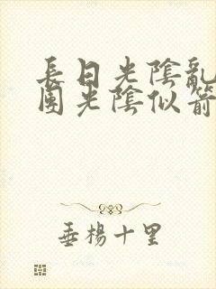 长日光阴乱作一团光阴似箭教主封面