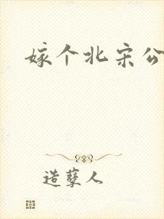 嫁个北宋公务员封面