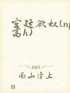 宫廷欲奴(np高h)封面