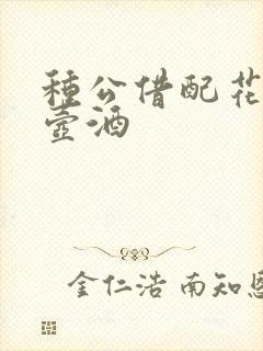 种公借配花间一壶酒