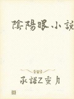阴阳眼小说封面