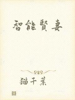 智能贤妻封面