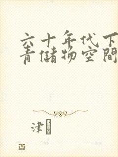 六十年代下乡知青储物空间封面