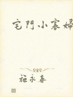 宅门小寡妇