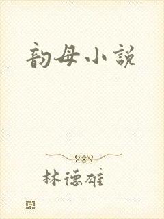 韵母小说封面