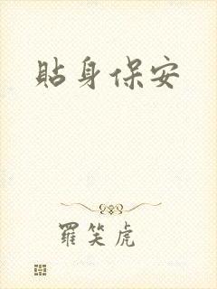贴身保安封面