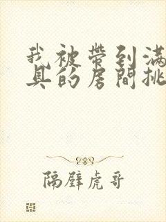 我被带到满是玩具的房间挑调游戏