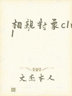 相亲对象c1v1封面