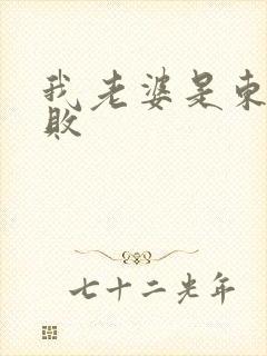 我老婆是东方不败