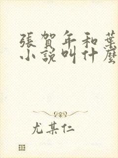 张贺年和叶繁姿小说叫什么名字