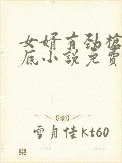 女婿有劲枪枪到底小说免费阅读封面