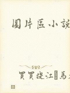 图片区小说区