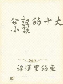 公认的十大虐心小说封面