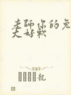 老师你的兔子好大好软